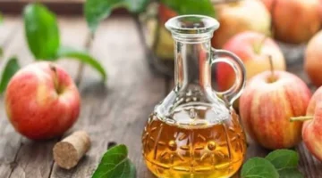 خل التفاح لإنقاص الوزن.. دراسة حديثة تكشف عن نتائجه المذهلة على دهون الجسم